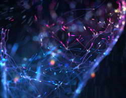 Роналду о ЧМ: «Не мечтаю о победе. Говорят: «Криштиану станет величайшим, если выиграет». Не согласен, у меня уже 3 трофея с Португалией. До Месси у Аргентины было 2 победы»