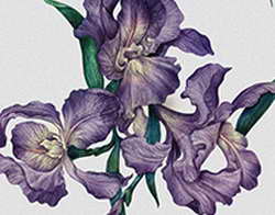 Александр Бубнов: «Батраков сильнее Гюлера, может в «Реале» играть. Что такое для них 20 млн евро? 20 копеек. И Кисляк может – их уровень соответствует»