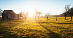 Валютный рынок, Daily history за 3 ноября 2025 г.